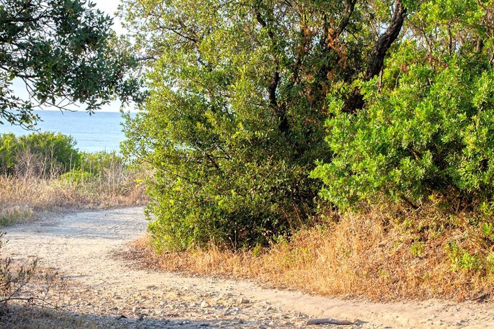 Bagheera Village Naturiste Linguizzetta Dış mekan fotoğraf