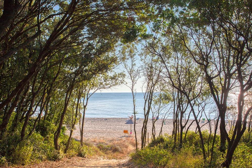 Bagheera Village Naturiste Linguizzetta Dış mekan fotoğraf