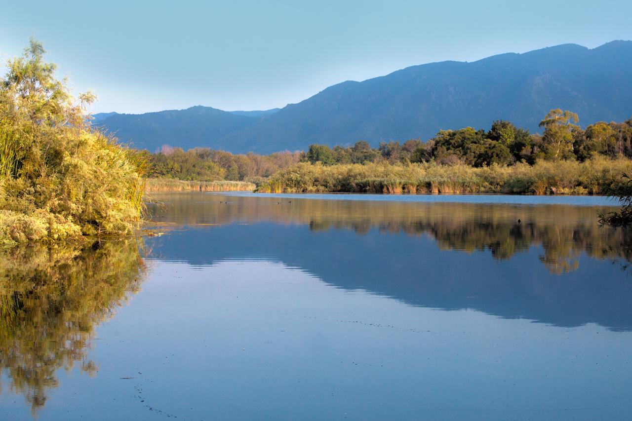 Bagheera Village Naturiste Linguizzetta Dış mekan fotoğraf